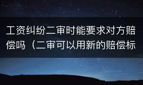 工资纠纷二审时能要求对方赔偿吗（二审可以用新的赔偿标准吗）
