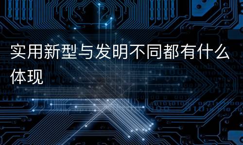 实用新型与发明不同都有什么体现