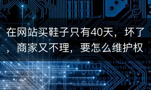 在网站买鞋子只有40天，坏了，商家又不理，要怎么维护权益