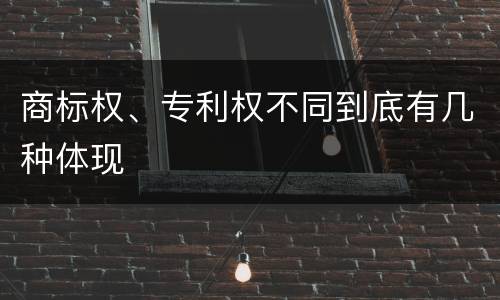 商标权、专利权不同到底有几种体现