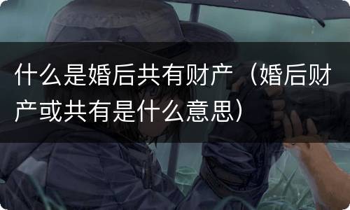 什么是婚后共有财产（婚后财产或共有是什么意思）