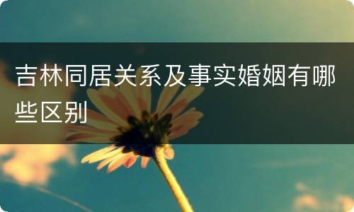 吉林同居关系及事实婚姻有哪些区别