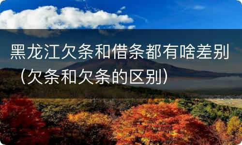 黑龙江欠条和借条都有啥差别（欠条和欠条的区别）