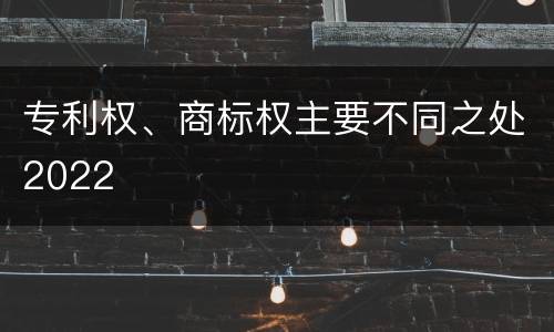 专利权、商标权主要不同之处2022