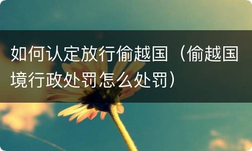 如何认定放行偷越国（偷越国境行政处罚怎么处罚）