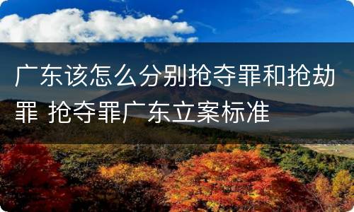 广东该怎么分别抢夺罪和抢劫罪 抢夺罪广东立案标准