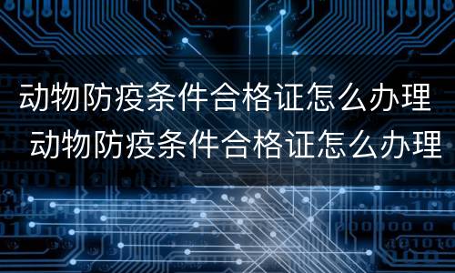 动物防疫条件合格证怎么办理 动物防疫条件合格证怎么办理手续