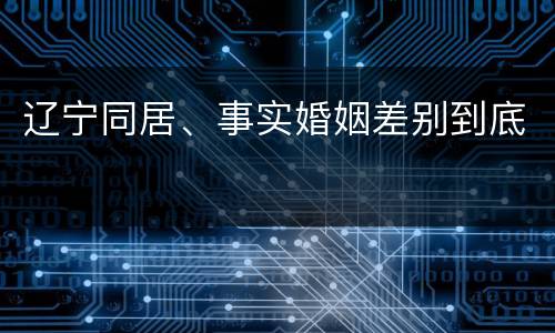 辽宁同居、事实婚姻差别到底