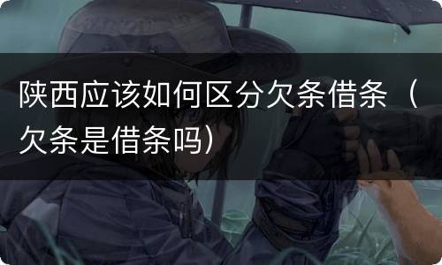陕西应该如何区分欠条借条（欠条是借条吗）