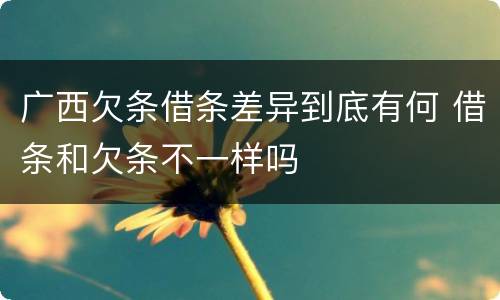 广西欠条借条差异到底有何 借条和欠条不一样吗