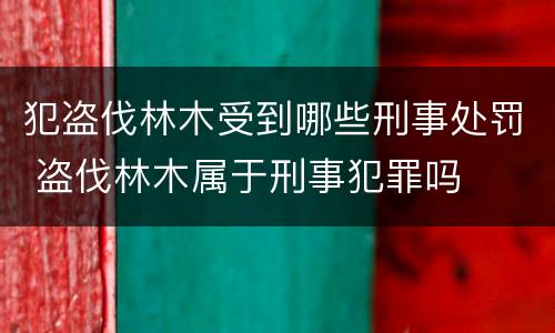 犯盗伐林木受到哪些刑事处罚 盗伐林木属于刑事犯罪吗