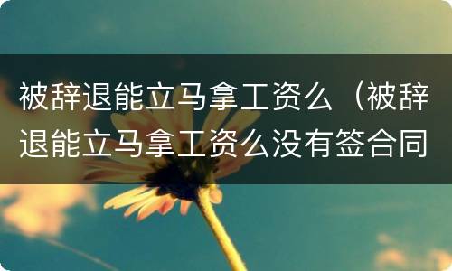 被辞退能立马拿工资么（被辞退能立马拿工资么没有签合同）