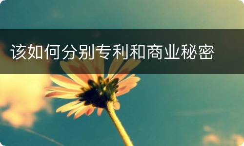 该如何分别专利和商业秘密