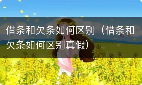 借条和欠条如何区别（借条和欠条如何区别真假）