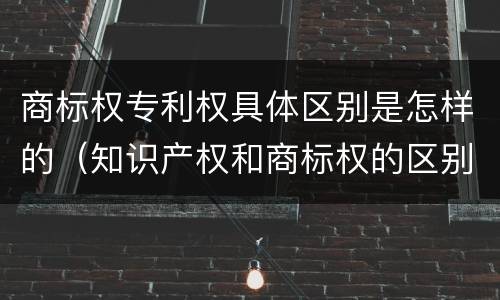 商标权专利权具体区别是怎样的（知识产权和商标权的区别）