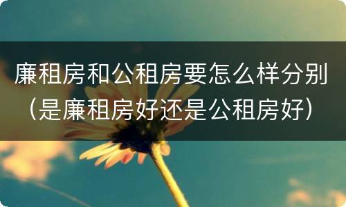 廉租房和公租房要怎么样分别（是廉租房好还是公租房好）