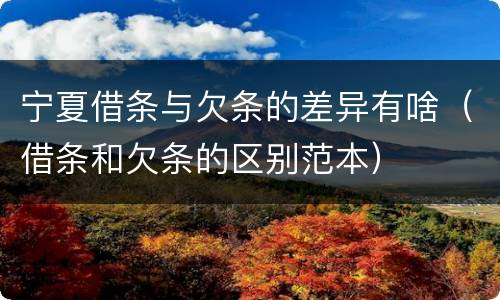 宁夏借条与欠条的差异有啥（借条和欠条的区别范本）