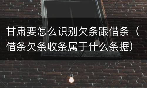 甘肃要怎么识别欠条跟借条（借条欠条收条属于什么条据）