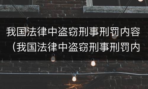 我国法律中盗窃刑事刑罚内容（我国法律中盗窃刑事刑罚内容是什么）