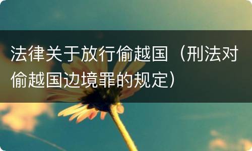 法律关于放行偷越国（刑法对偷越国边境罪的规定）