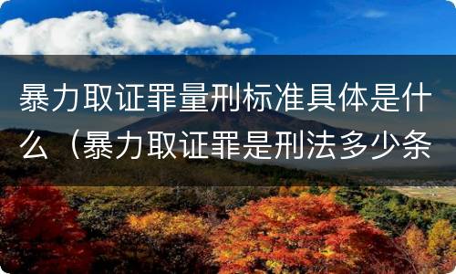 暴力取证罪量刑标准具体是什么（暴力取证罪是刑法多少条）