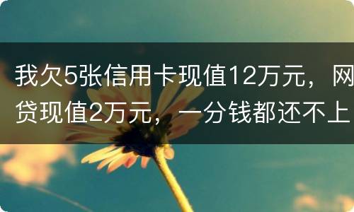 我欠5张信用卡现值12万元，网贷现值2万元，一分钱都还不上了，会判多少年
