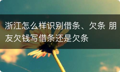 浙江怎么样识别借条、欠条 朋友欠钱写借条还是欠条