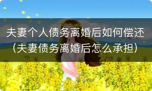 夫妻个人债务离婚后如何偿还（夫妻债务离婚后怎么承担）