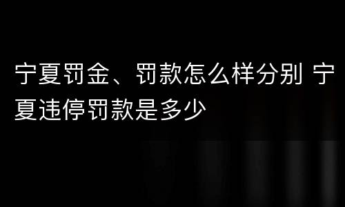 宁夏罚金、罚款怎么样分别 宁夏违停罚款是多少