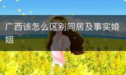 广西该怎么区别同居及事实婚姻