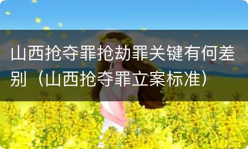 山西抢夺罪抢劫罪关键有何差别（山西抢夺罪立案标准）