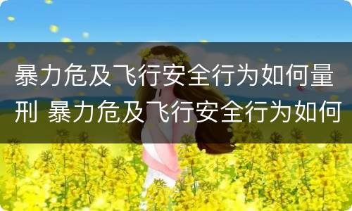 暴力危及飞行安全行为如何量刑 暴力危及飞行安全行为如何量刑标准