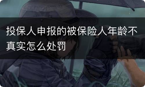 投保人申报的被保险人年龄不真实怎么处罚