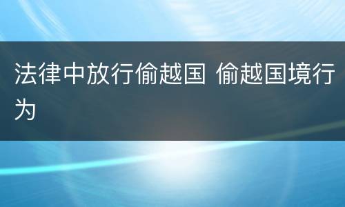 法律中放行偷越国 偷越国境行为