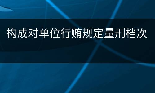 构成对单位行贿规定量刑档次