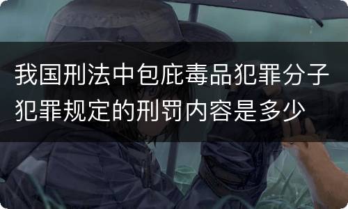 我国刑法中包庇毒品犯罪分子犯罪规定的刑罚内容是多少