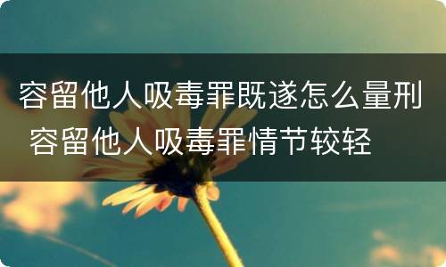 容留他人吸毒罪既遂怎么量刑 容留他人吸毒罪情节较轻
