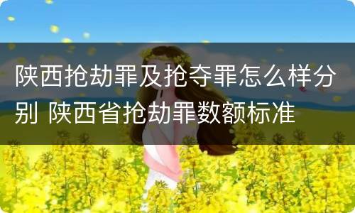陕西抢劫罪及抢夺罪怎么样分别 陕西省抢劫罪数额标准