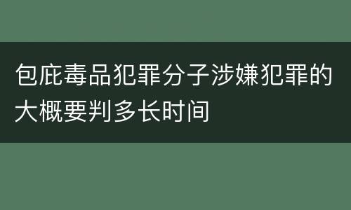 包庇毒品犯罪分子涉嫌犯罪的大概要判多长时间