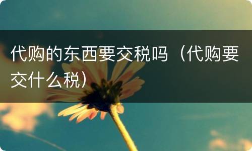 代购的东西要交税吗（代购要交什么税）