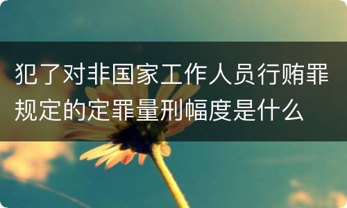 犯了对非国家工作人员行贿罪规定的定罪量刑幅度是什么