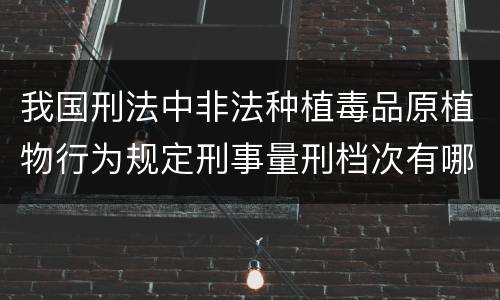 我国刑法中非法种植毒品原植物行为规定刑事量刑档次有哪些