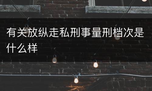 有关放纵走私刑事量刑档次是什么样