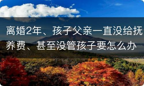 离婚2年、孩子父亲一直没给抚养费、甚至没管孩子要怎么办