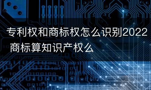 专利权和商标权怎么识别2022 商标算知识产权么