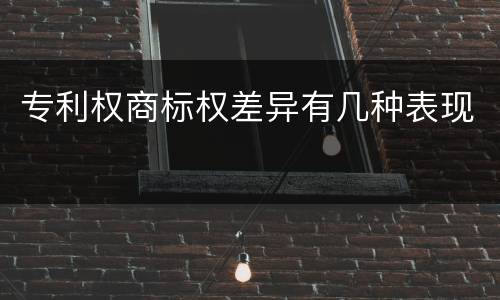 专利权商标权差异有几种表现