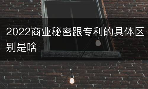 2022商业秘密跟专利的具体区别是啥