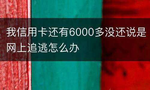 我信用卡还有6000多没还说是网上追逃怎么办