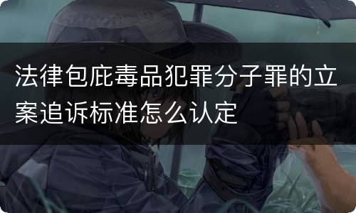 法律包庇毒品犯罪分子罪的立案追诉标准怎么认定