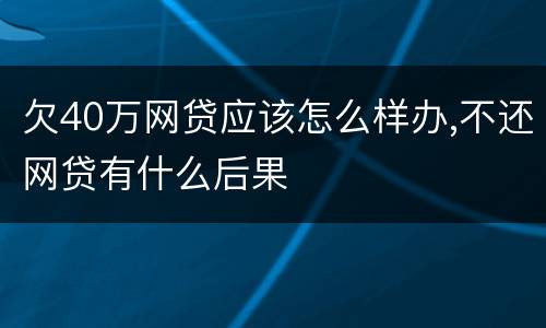 欠40万网贷应该怎么样办,不还网贷有什么后果